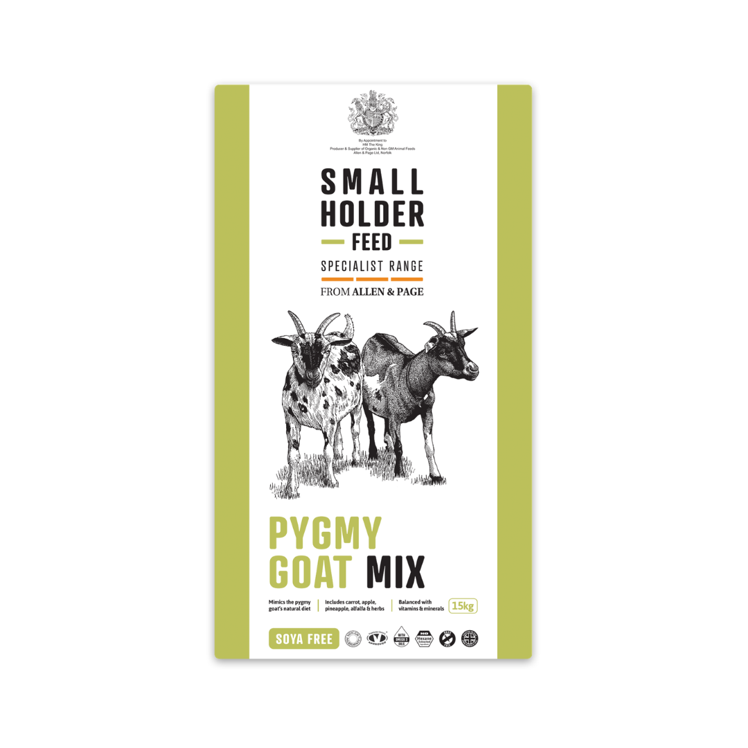 Small Holder Feeds Pygmy Goat Mix