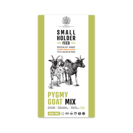 Small Holder Feeds Pygmy Goat Mix