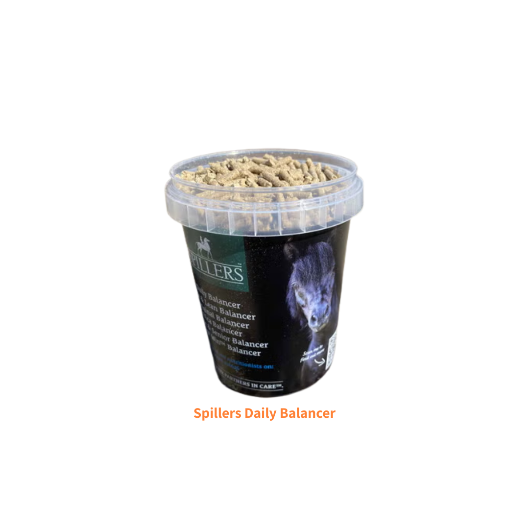Spillers Daily Balancer