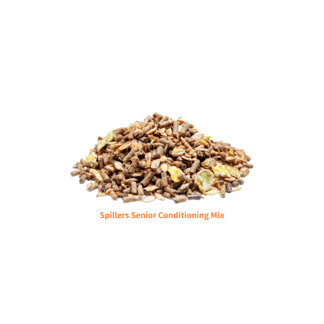 Spillers Senior Conditioning Mix