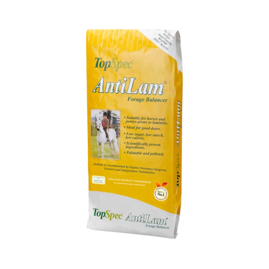 TopSpec Anti Lam