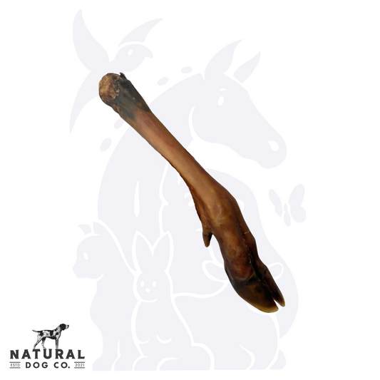 Venison Leg