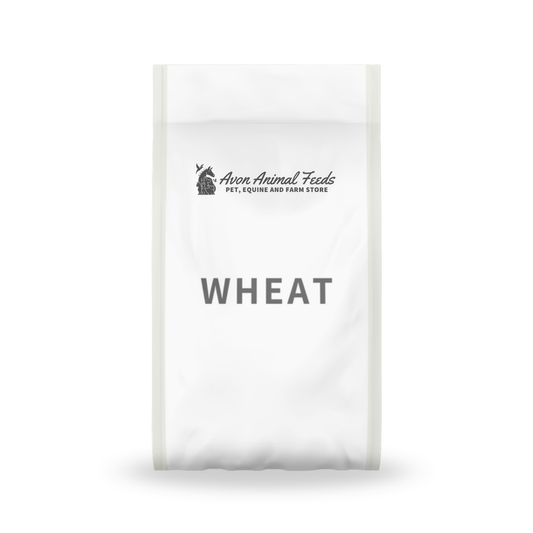 Straight Peas 20kg (Micronised)