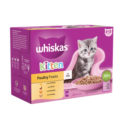 Whiskas Kitten Poultry and mixed menu in Jelly 12 pack