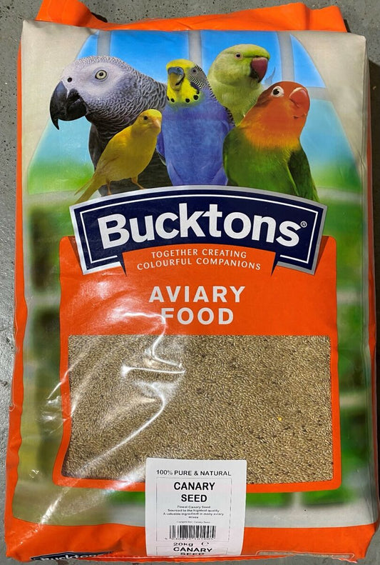 Bucktons canary Seed