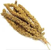 Millet Sprays