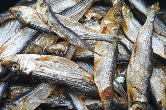 Sprats