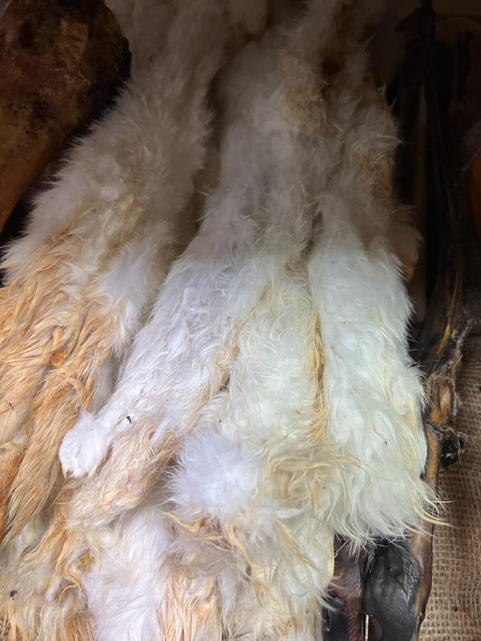Whole Rabbit Skin with fur