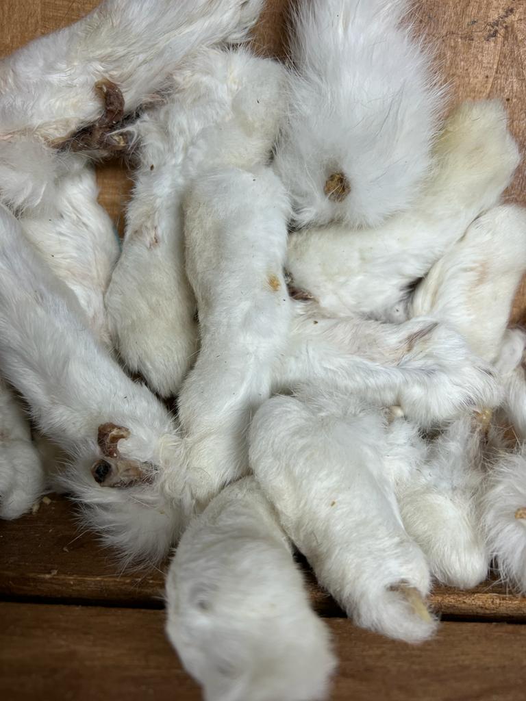 Rabbit Feet